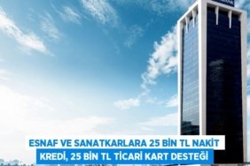Esnaf ve sanatkarlara 25 bin TL nakit kredi, 25 bin TL ticari kart desteği