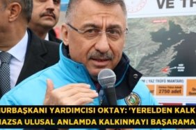 30784317123189522317tasarimli