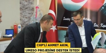 30923259742416728432tasarimli