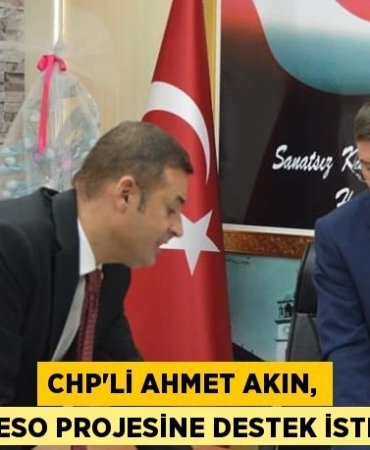 30923259742416728432tasarimli