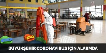 31068201553131620612