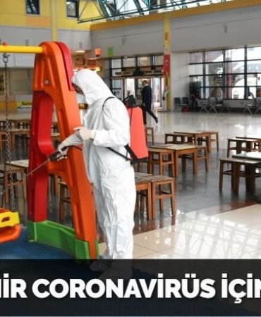 31068201553131620612