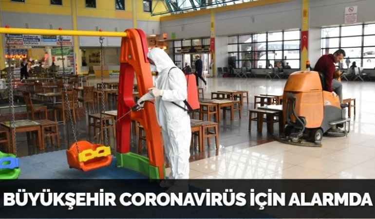 31068201553131620612