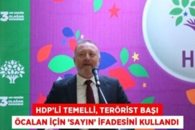 31086310632304222952tasarimli