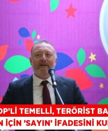 31086310632304222952tasarimli