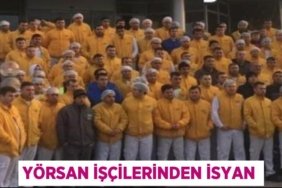 31098302252478721110