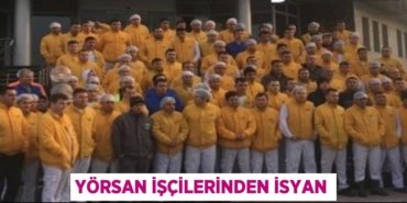 31098302252478721110