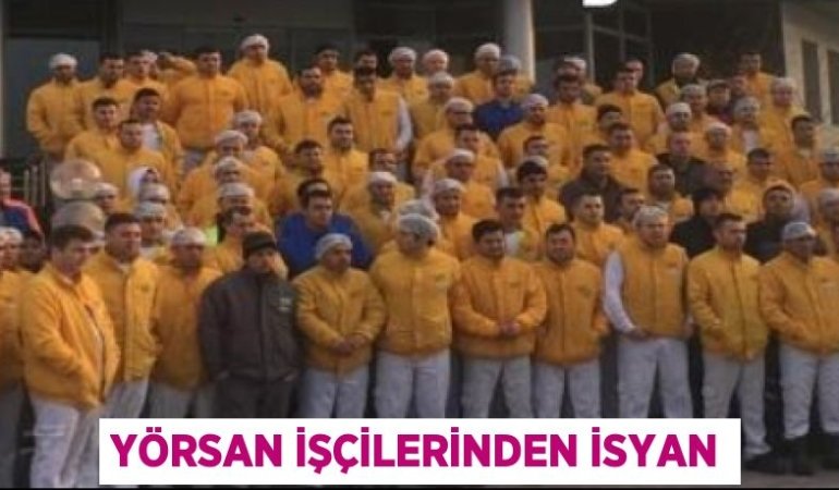 31098302252478721110