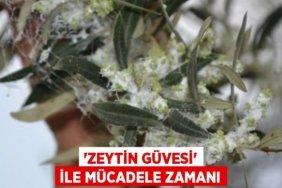 31121200322060322540tasarimli