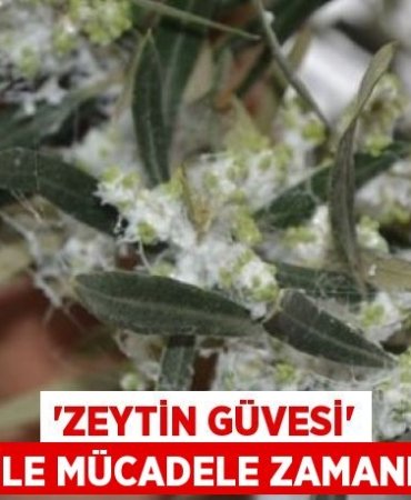 31121200322060322540tasarimli