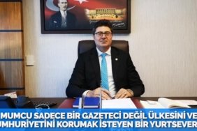 31185255612064625007