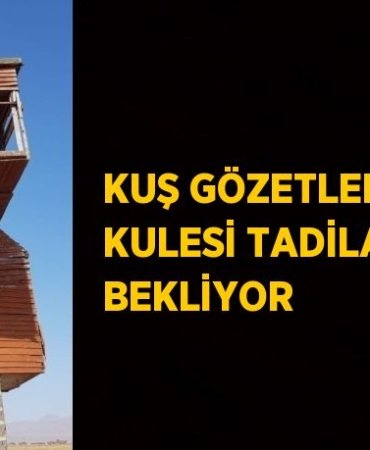 31185300573082620308