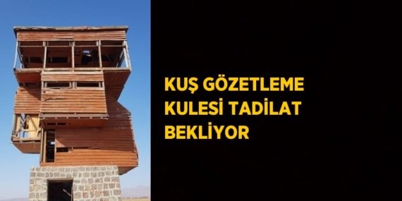 31185300573082620308