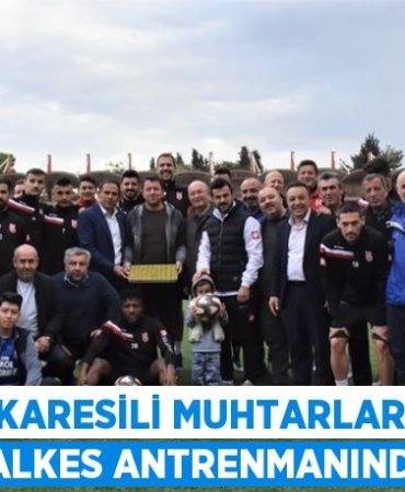 31347224822735025975tasarimli