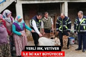 31571221182152121584tasarimli