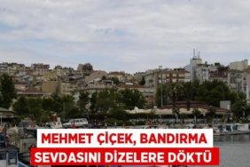 31601253603123626512tasarimli