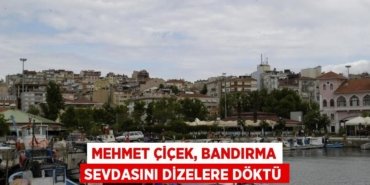 31601253603123626512tasarimli