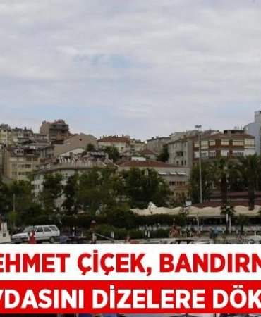 31601253603123626512tasarimli