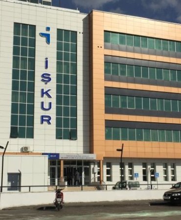 31799253302493222087