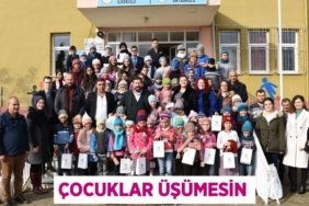 31804233112429228062