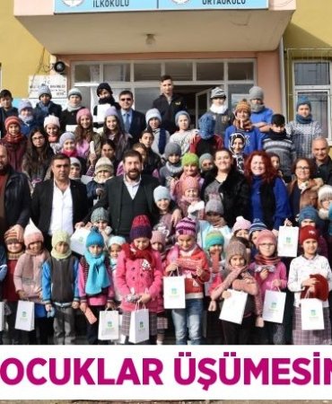 31804233112429228062