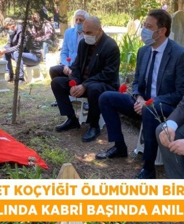 31900250412335331093tasarimli