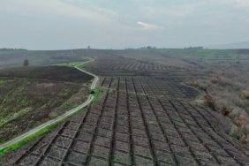 Orman Köylüsüne destek devam ediyor