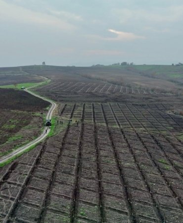 Orman Köylüsüne destek devam ediyor