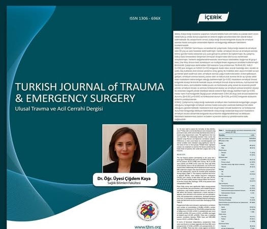 BAÜN Akademisyenlerinden bir çalışma daha