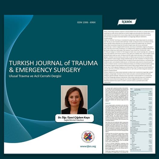 BAÜN Akademisyenlerinden bir çalışma daha