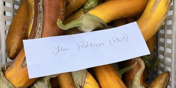 balikesir_buyuksehir_belediyesi_ata_tohumlari_ile_envanterini_guclendiriyor_5