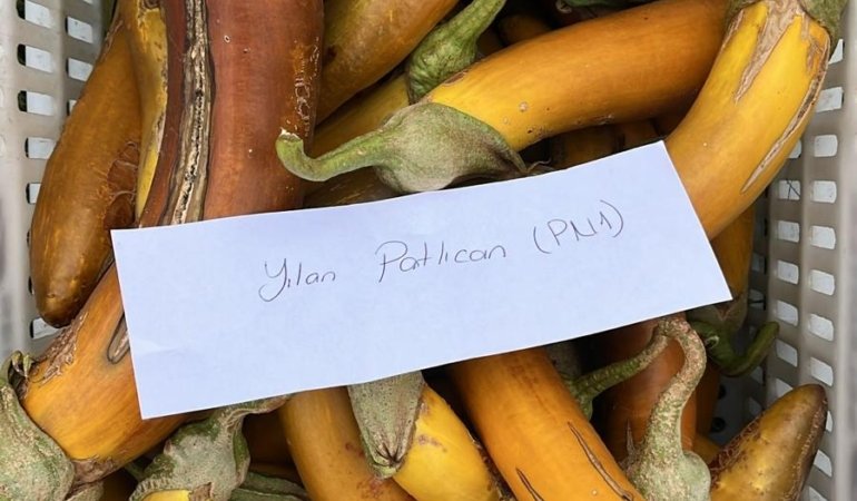 balikesir_buyuksehir_belediyesi_ata_tohumlari_ile_envanterini_guclendiriyor_5