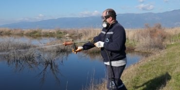 buyuksehir_haserelere_karsi_kislak_mucadelesini_surduruyor__6