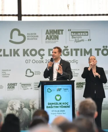 damızlık koç ana resim