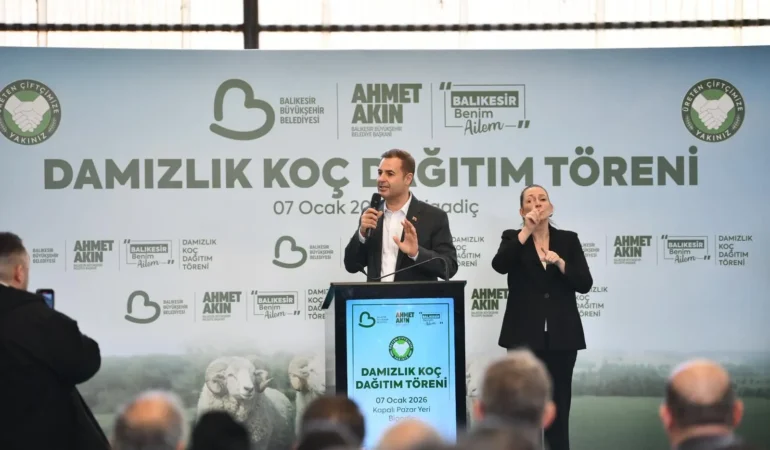 damızlık koç ana resim