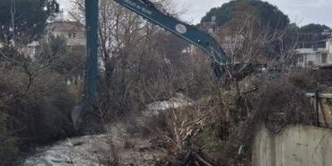 WhatsApp Image 2026-02-09 at 14.35.392