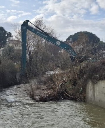 WhatsApp Image 2026-02-09 at 14.35.392