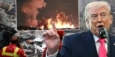 69cb6365e675cdf0dafa030a