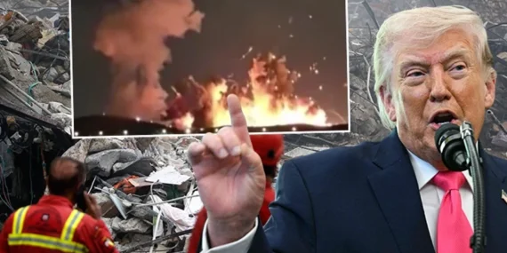 69cb6365e675cdf0dafa030a