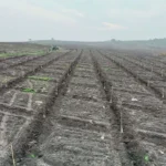 whatsapp-image-2025-12-24-at-210337-1