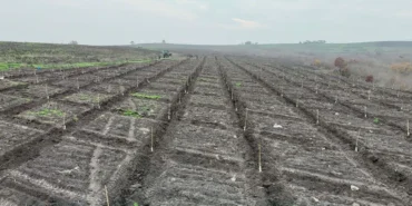 whatsapp-image-2025-12-24-at-210337-1