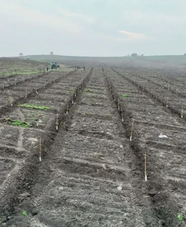 whatsapp-image-2025-12-24-at-210337-1