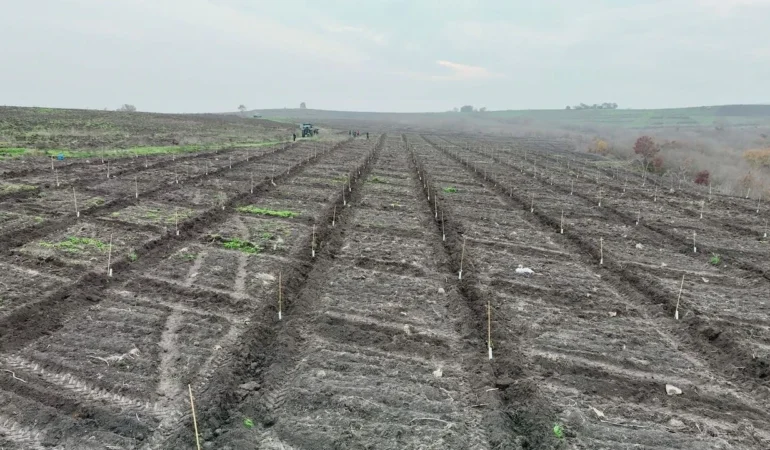 whatsapp-image-2025-12-24-at-210337-1