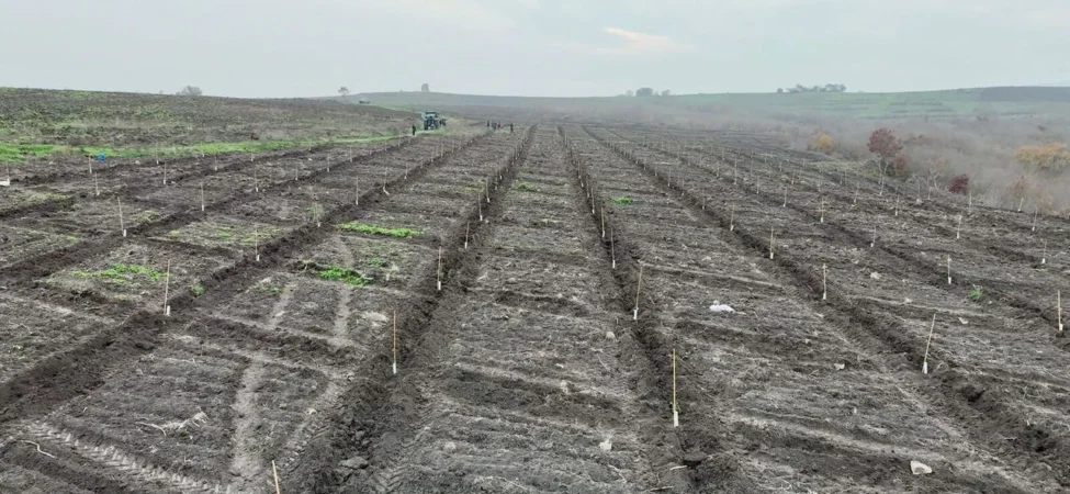 whatsapp-image-2025-12-24-at-210337-1