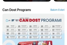 Binlerce can dostu yuvalarina kavustu (1)